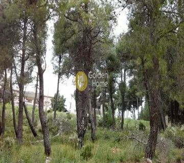 Residential 805m<sup>2</sup> for sale photo 3138950