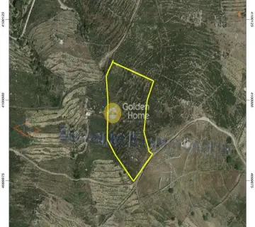 Parcel 10000m<sup>2</sup> for sale photo 1