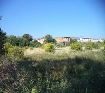 住宅 5200m<sup>2</sup> for sale photo 6