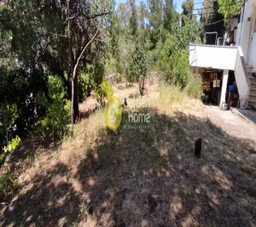 Residential 831m<sup>2</sup> for sale photo 2