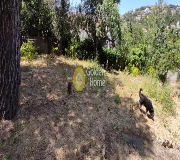 Residential 831m<sup>2</sup> for sale photo 1