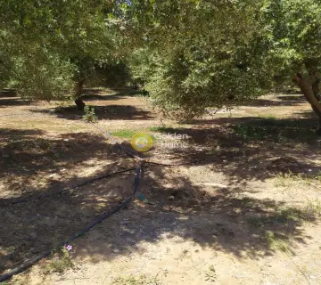 Professional Plot 30000m<sup>2</sup> for sale photo 3148682