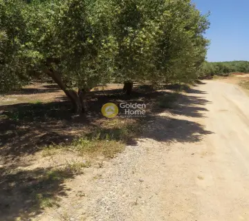Professional Plot 30000m<sup>2</sup> for sale photo 3148682