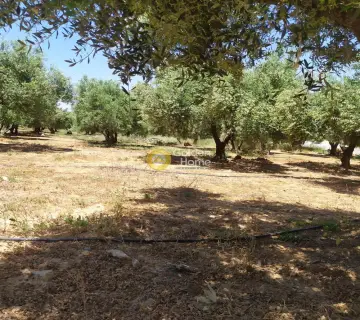 Professional Plot 30000m<sup>2</sup> for sale photo 3148684