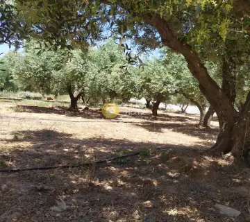 Professional Plot 30000m<sup>2</sup> for sale photo 3148684