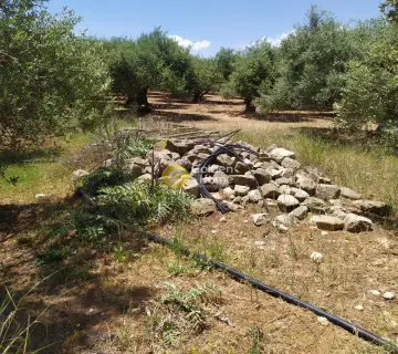 Professional Plot 30000m<sup>2</sup> for sale photo 3148685