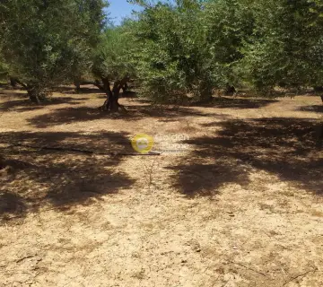 Professional Plot 30000m<sup>2</sup> for sale photo 3148687