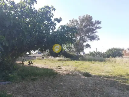 Professional Plot 980m<sup>2</sup> for sale photo 1