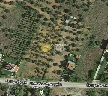 Golden Home Property Image