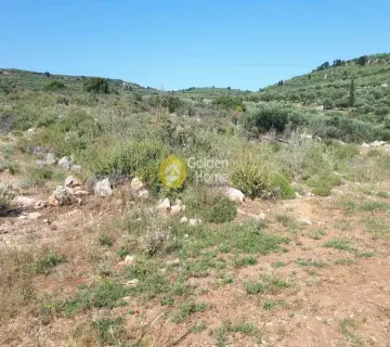 Parcel 7500m<sup>2</sup> for sale photo 14