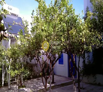 House 210m<sup>2</sup> for sale photo 4