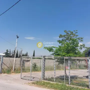 Αγροτεμάχιο 1493τ.μ. προς πώληση φωτογραφία 11