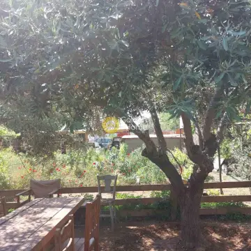Αγροτεμάχιο 1493τ.μ. προς πώληση φωτογραφία 4