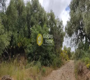 Parcel 1000m<sup>2</sup> for sale photo 1