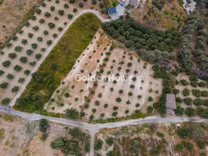 Οικιστικό 6200τ.μ. προς πώληση φωτογραφία 5661342
