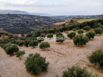 Οικιστικό 6200τ.μ. προς πώληση φωτογραφία 5661346