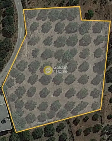 Residential 725m<sup>2</sup> for sale photo 3