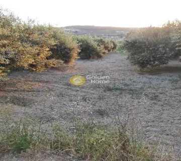 Επαγγελ. Οικόπεδο 4121τ.μ. προς πώληση φωτογραφία 3157010