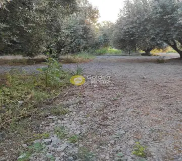 Επαγγελ. Οικόπεδο 4121τ.μ. προς πώληση φωτογραφία 3157011