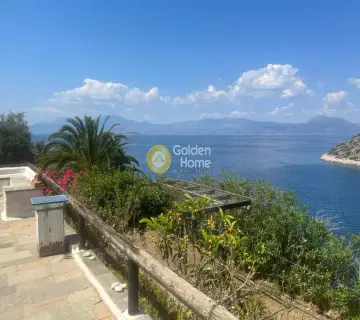 Μονοκατοικία 370τ.μ. προς πώληση φωτογραφία 3