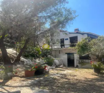 Μονοκατοικία 370τ.μ. προς πώληση φωτογραφία 4