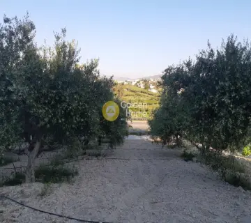 Golden Home Property Image