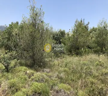 Οικιστικό 174τ.μ. προς πώληση φωτογραφία 2