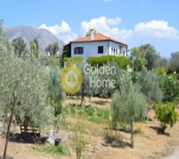 Golden Home Property Image