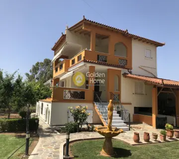 Golden Home Property Image