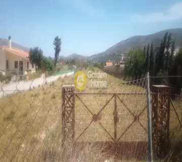 Golden Home Property Image