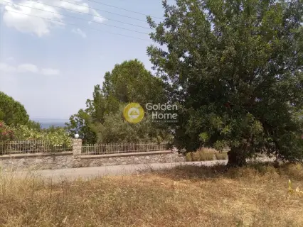 Residential 4500m<sup>2</sup> for sale photo 2