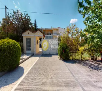 Golden Home Property Image