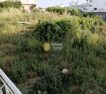 Αγροτεμάχιο 780τ.μ. προς ενοικίαση φωτογραφία 3165575