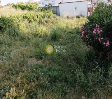 Αγροτεμάχιο 780τ.μ. προς ενοικίαση φωτογραφία 3165578