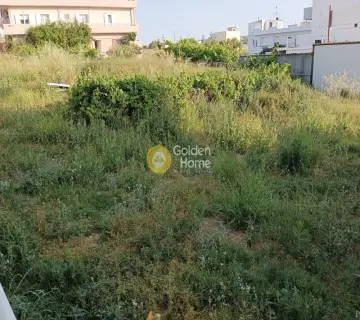 Αγροτεμάχιο 780τ.μ. προς ενοικίαση φωτογραφία 3165579