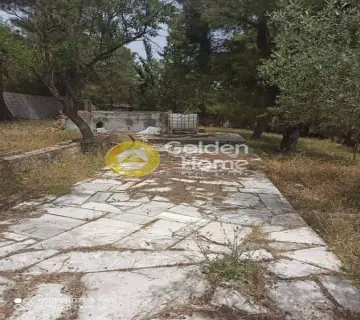 Μονοκατοικία 160τ.μ. προς πώληση φωτογραφία 6
