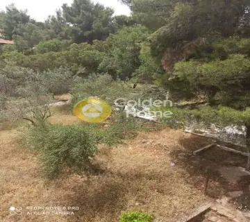 Μονοκατοικία 160τ.μ. προς πώληση φωτογραφία 50