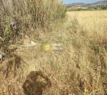 Parcel 5000m<sup>2</sup> for sale photo 2