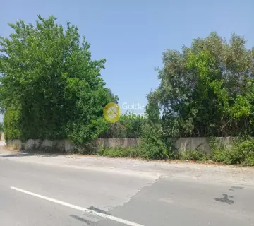 Professional Plot 12000m<sup>2</sup> for sale photo 3167411