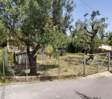 Μονοκατοικία 190τ.μ. προς πώληση φωτογραφία 3187849