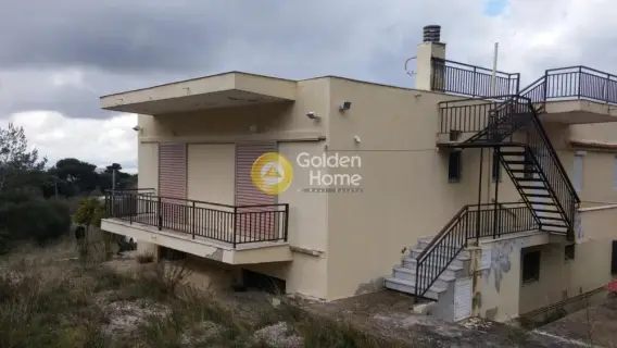 Golden Home Property Image
