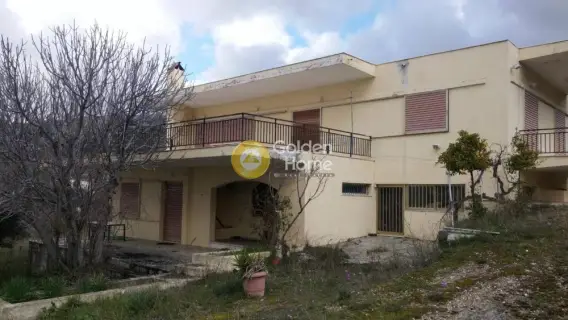 Μονοκατοικία 300τ.μ. προς ενοικίαση φωτογραφία 4