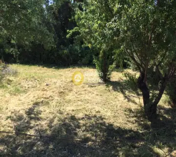 Residential 220m<sup>2</sup> for sale photo 3