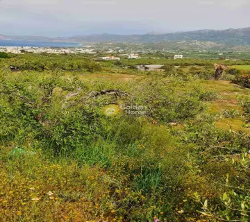 Residential 2400m<sup>2</sup> for sale photo 2
