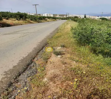 Residential 2400m<sup>2</sup> for sale photo 3