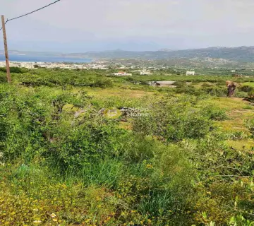 Residential 2400m<sup>2</sup> for sale photo 4