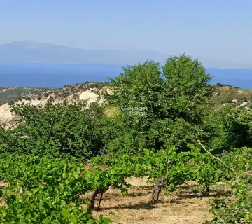 Αγροτεμάχιο 1800τ.μ. προς πώληση φωτογραφία 3172102