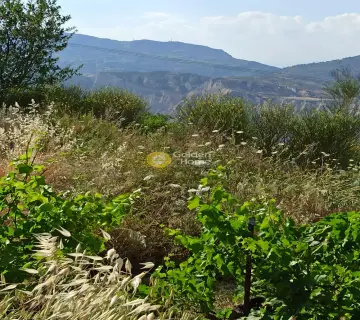 Αγροτεμάχιο 1800τ.μ. προς πώληση φωτογραφία 3172103