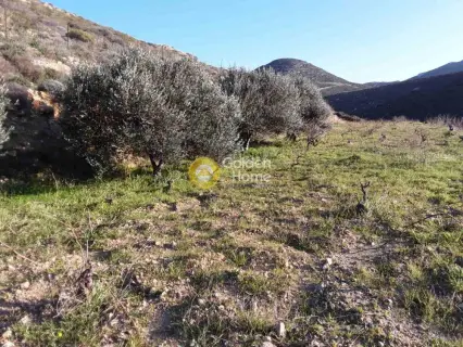 Residential 10845m<sup>2</sup> for sale photo 5