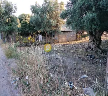 Parcel 980m<sup>2</sup> for sale photo 3173372